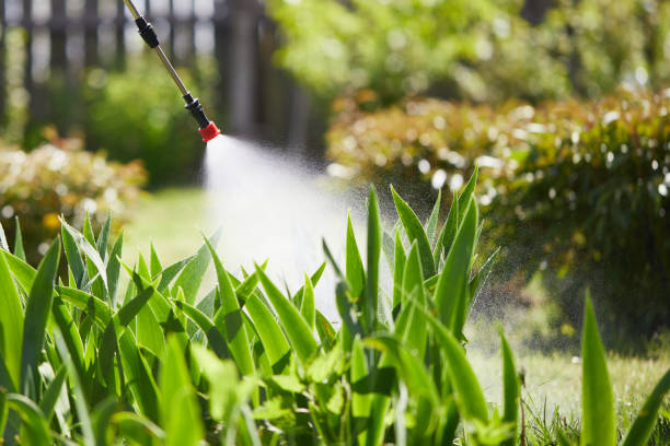 24/7 Emergency Fumigation Services experts in Pontiac, MI