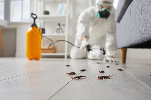 Trusted Emergency Pest Control service in Pontiac, MI - Nex Pest Control