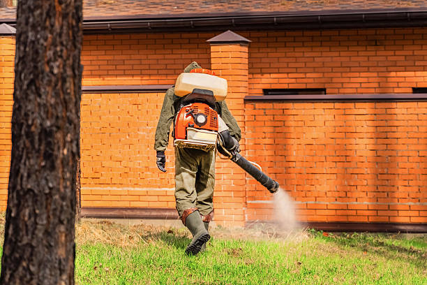 Trusted Ant Control service in Pontiac, MI - Nex Pest Control